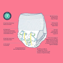 Load image into Gallery viewer, Nappy pants Size 6 18's X 5